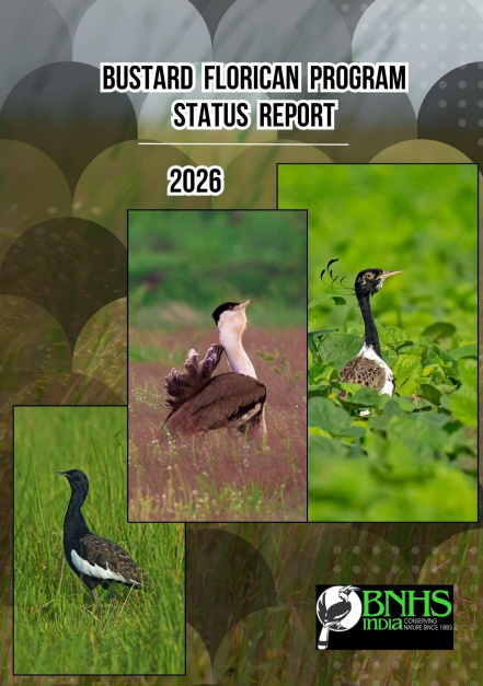 Cover of the Bustard & Florican Status Report 2026